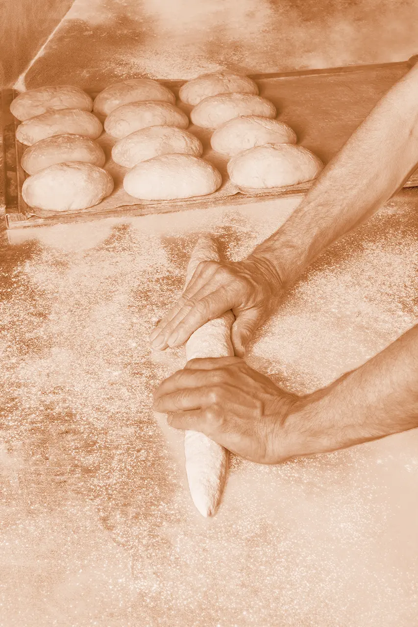 Façonner en boulangerie : l’Art de façonner à la boulangerie et pâtisserie La Talemelerie