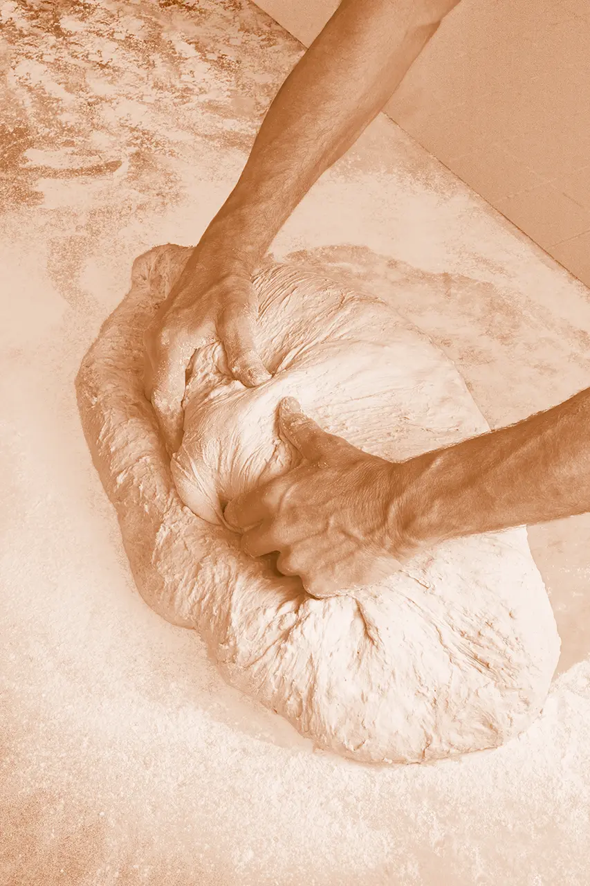 Pétrir en boulangerie : l’Art de pétrir à la boulangerie et pâtisserie La Talemelerie